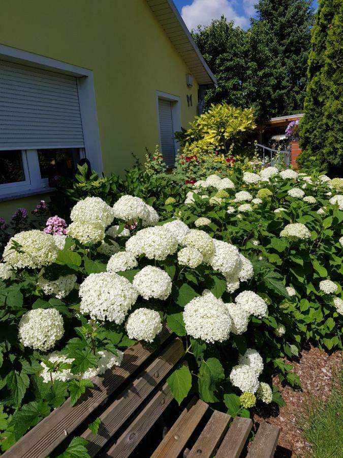 Ferienwohnung Lotte Nuthe-Urstromtal Exteriér fotografie